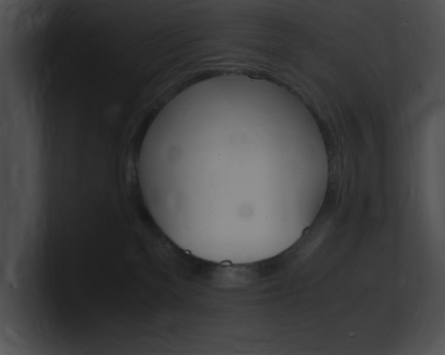 X0000101170137200806270801