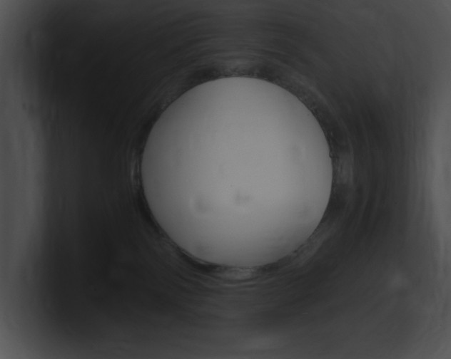 X0000101170138200806270801