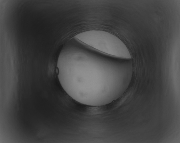 X0000101170139200806270801