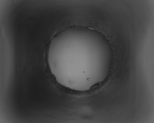 X0000101170144200806270801