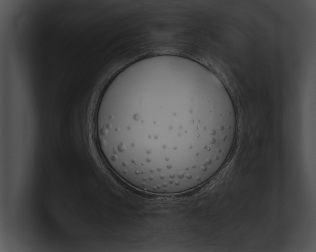X0000101170145200806270800