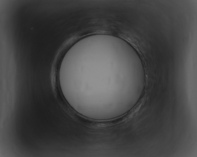 X0000101170149200806270800