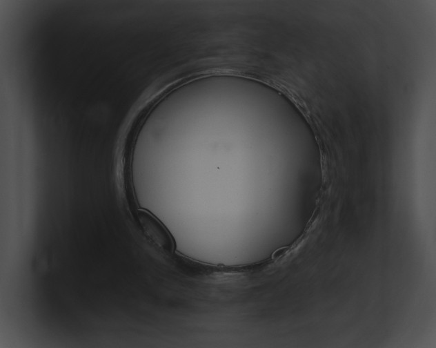X0000101170150200806270800