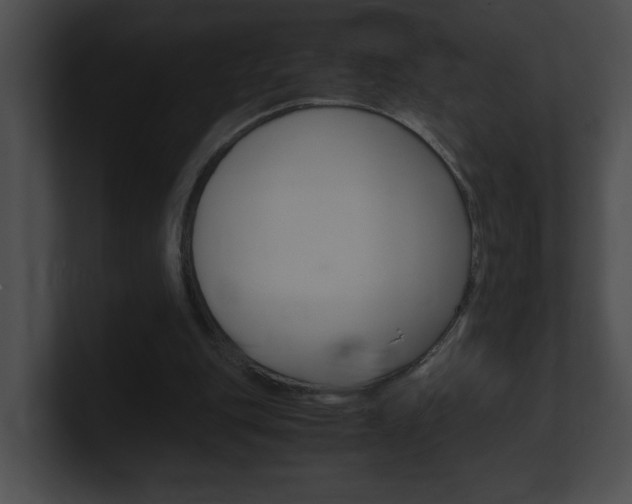 X0000101170151200806270800