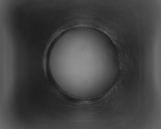 X0000101170152200806270800