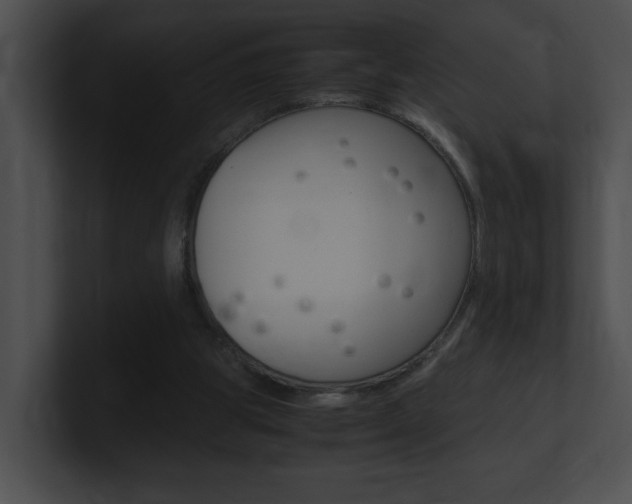 X0000101170153200806270800