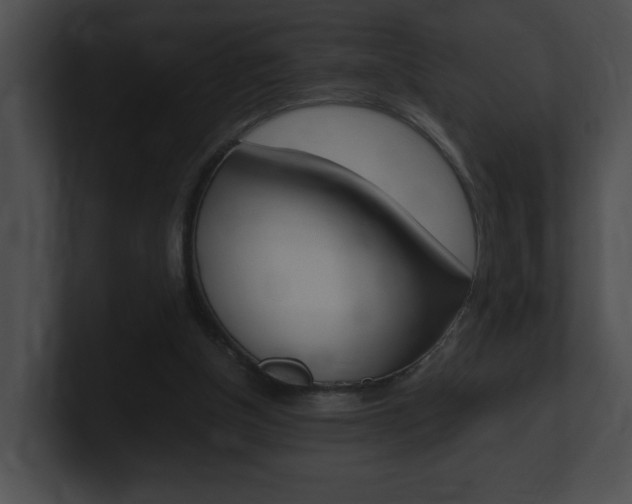 X0000101170154200806270800