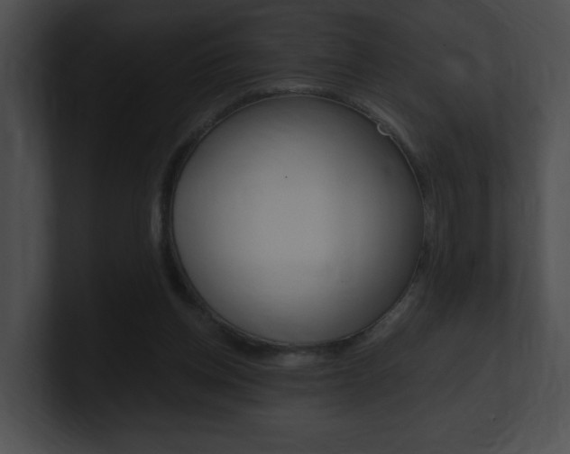 X0000101170158200806270801