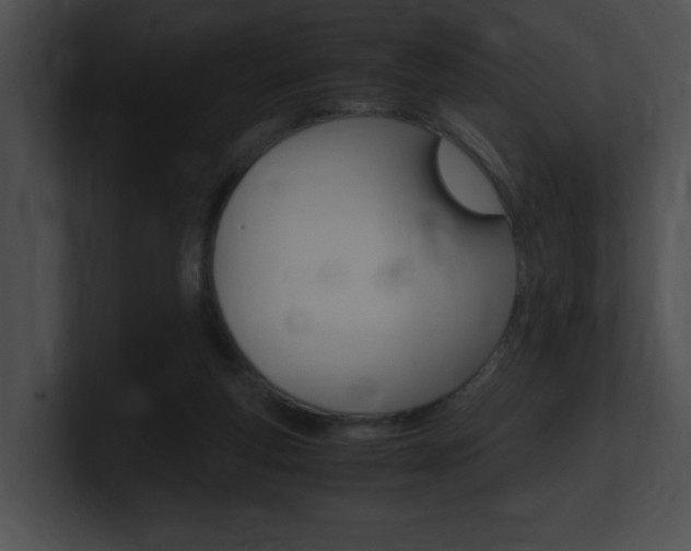 X0000101170163200806270801