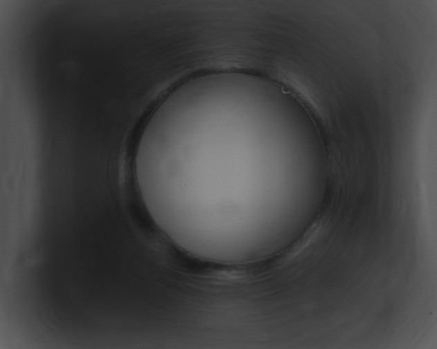 X0000101170164200806270801