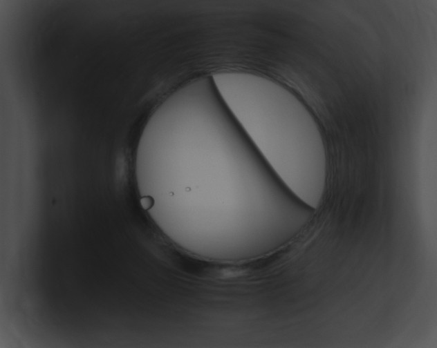 X0000101170165200806270801