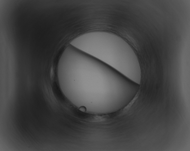 X0000101170166200806270801