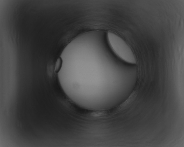 X0000101170172200806270801
