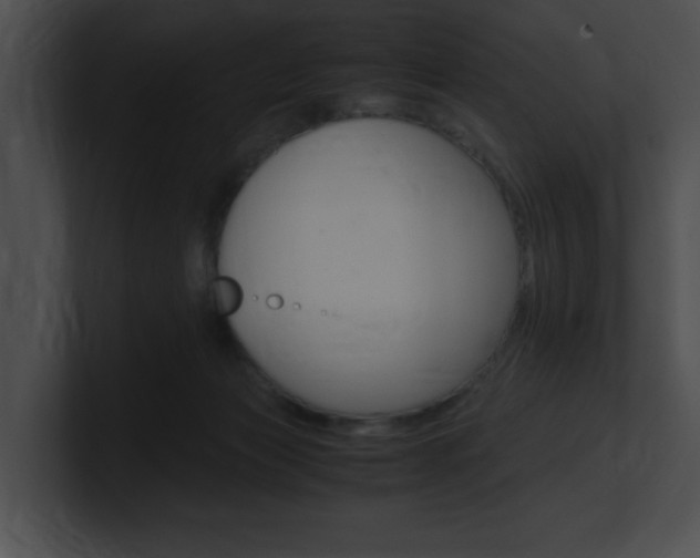 X0000101170173200806270801