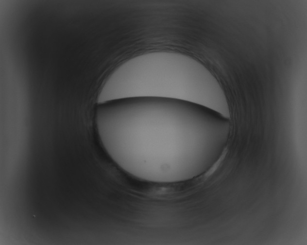 X0000101170174200806270801