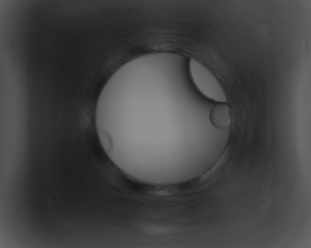 X0000101170175200806270801