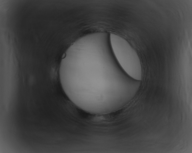 X0000101170177200806270801