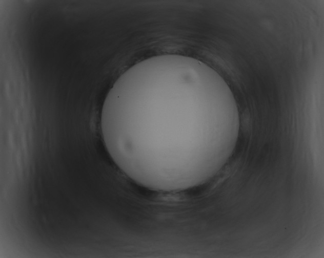 X0000101170181200806270801