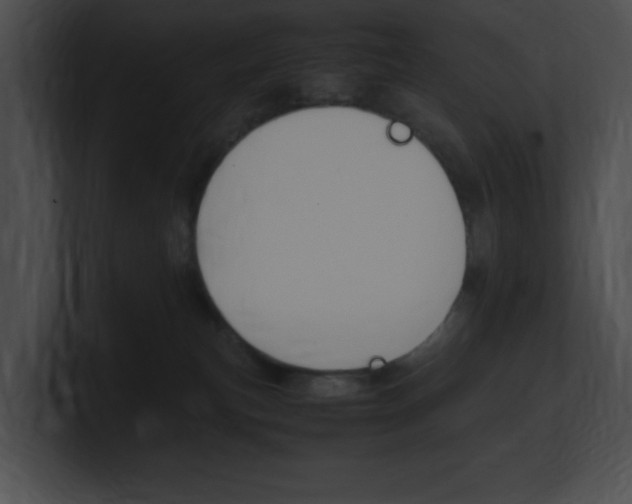 X0000101170183200806270801