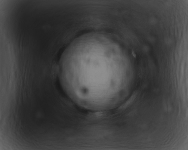 X0000101170184200806270801