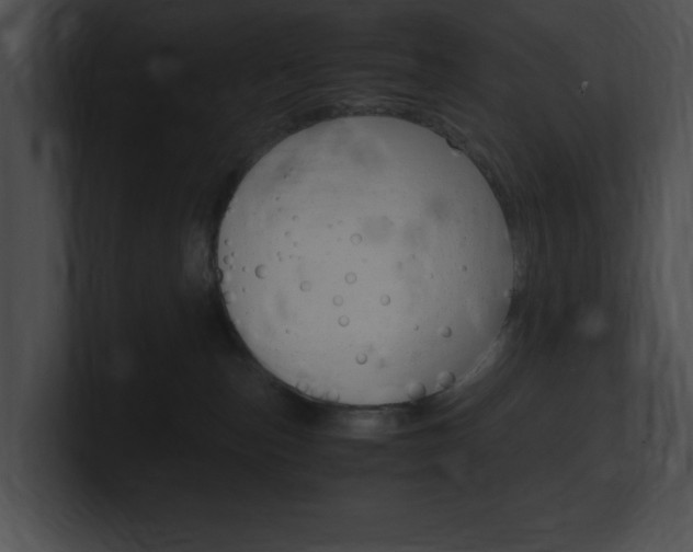 X0000101170187200806270801