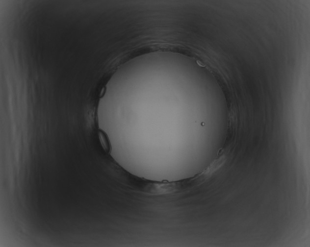 X0000101170188200806270801