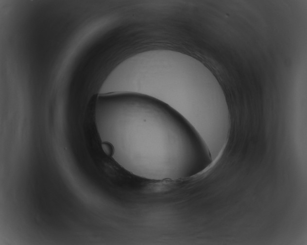 X0000101170190200806270801