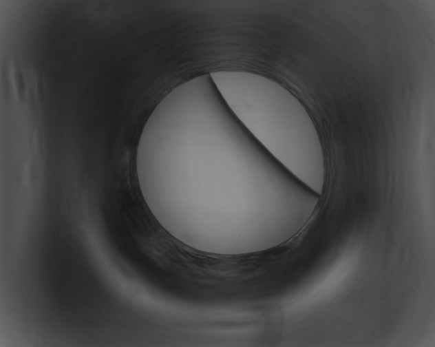 X0000101170191200806270801