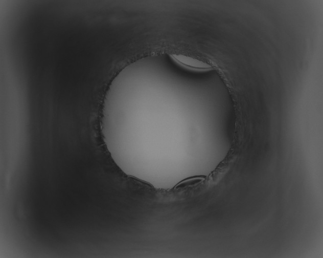 X0000101170192200806270801