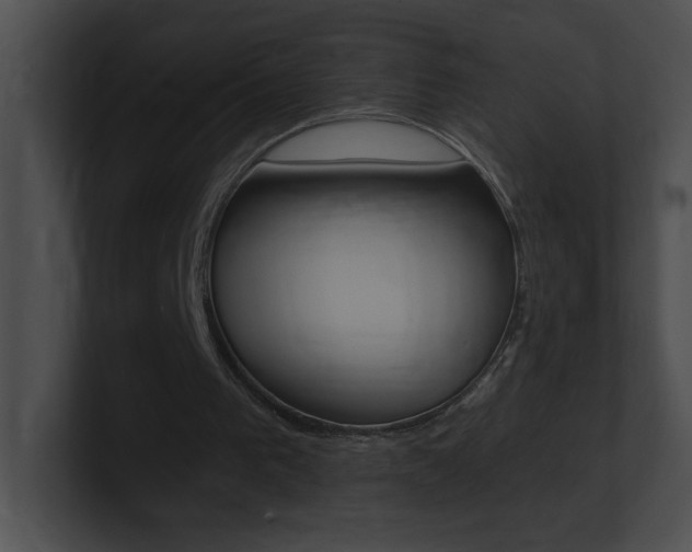 X0000101170193200806270800