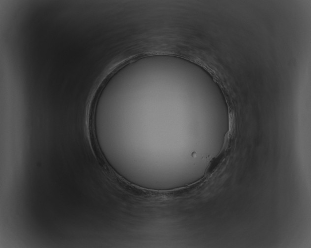 X0000101170195200806270800