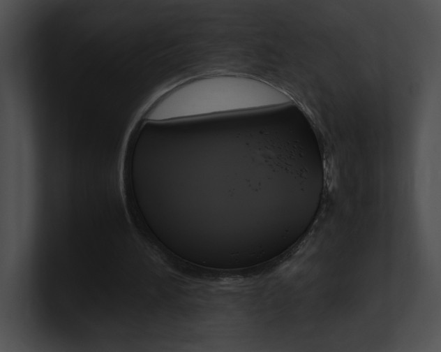 X0000101170196200806270800