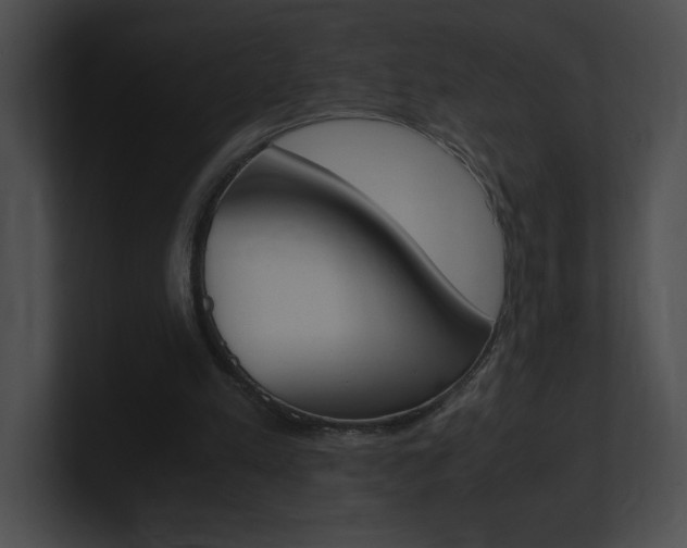 X0000101170197200806270800