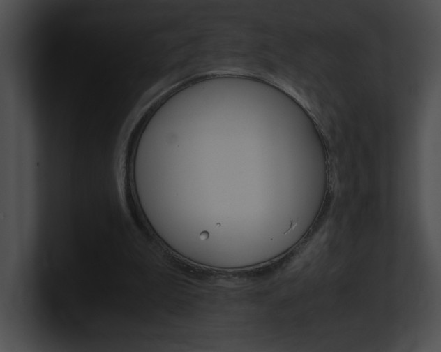 X0000101170199200806270800