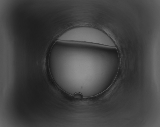 X0000101170201200806270800