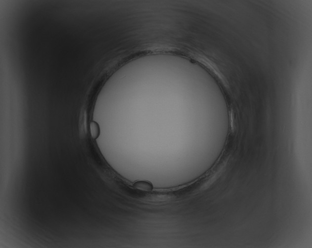 X0000101170205200806270800
