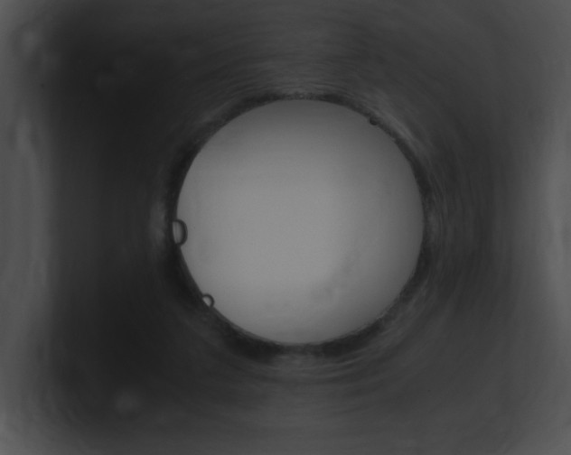 X0000101170211200806270800