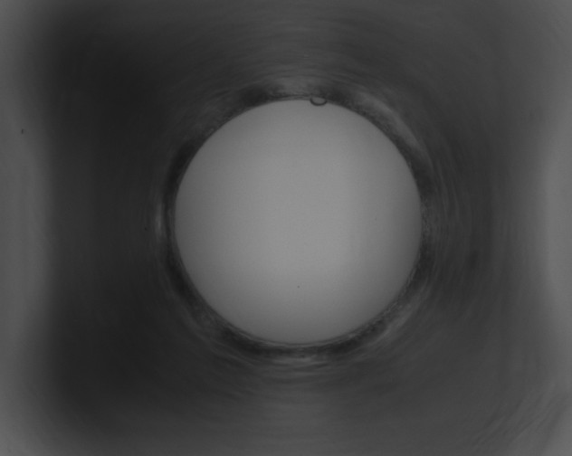 X0000101170213200806270800