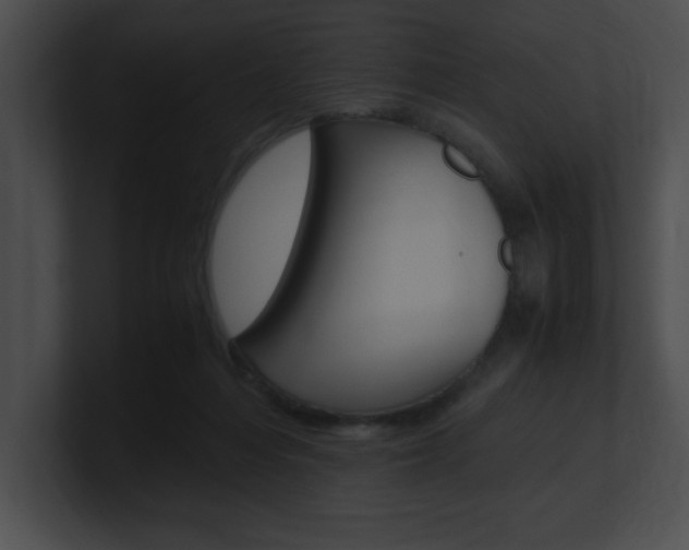 X0000101170216200806270800