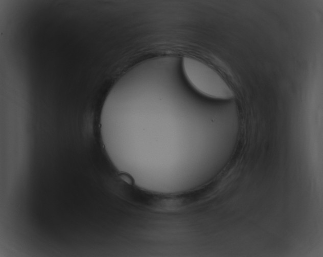 X0000101170217200806270800