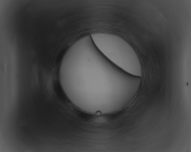 X0000101170218200806270800