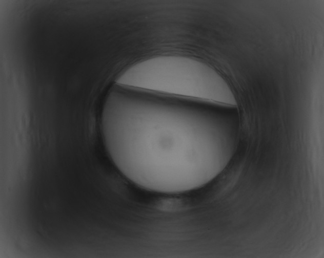 X0000101170220200806270800