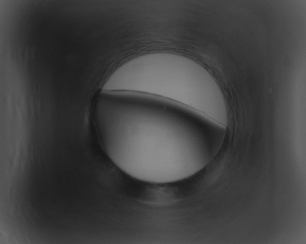 X0000101170221200806270800