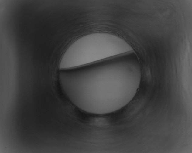 X0000101170224200806270800