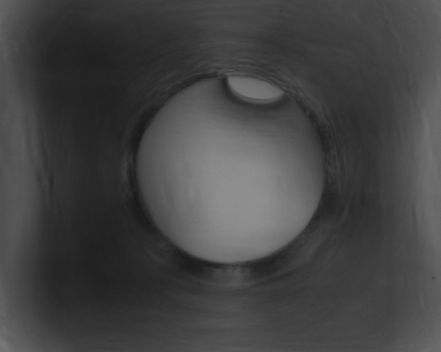 X0000101170225200806270800