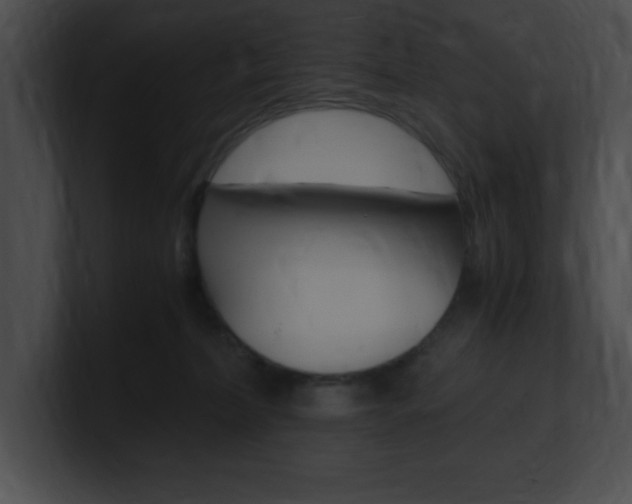 X0000101170228200806270800