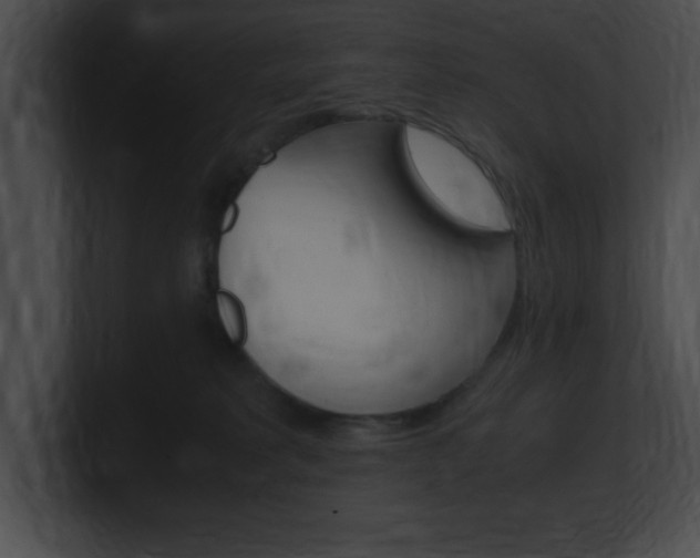 X0000101170229200806270800