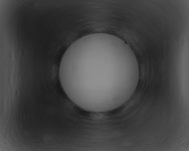 X0000101170230200806270800