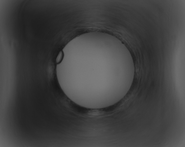 X0000101170231200806270800