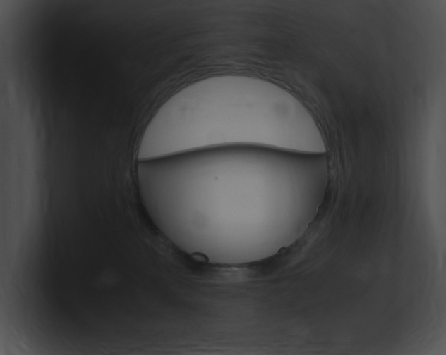 X0000101170233200806270800